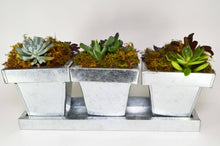 Load image into Gallery viewer, Trio of 4&quot; Planters  Pots with Tray 3.5&quot; x 11.75&quot;, Galvanized Metal for Plants, Holiday Gifts, Silverware Caddy, Succulents, Brush Holder