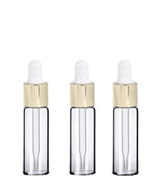 Load image into Gallery viewer, 24 LUXURY Glass 5ml SILVER Dropper Bottles for Essential Oils, Perfumes, Serums, Beard Oils, Upscale Private Label Packaging 1/6 Oz